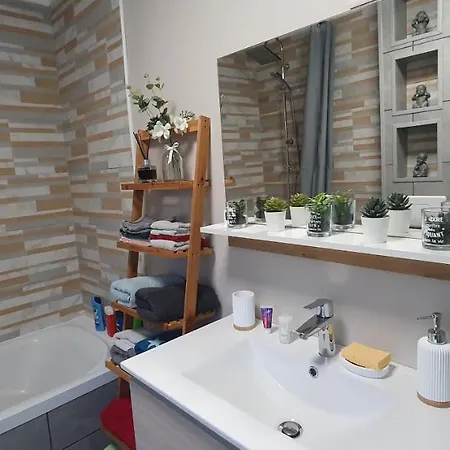 L'aiscal Appart-hotel 6 Personnes Apartment